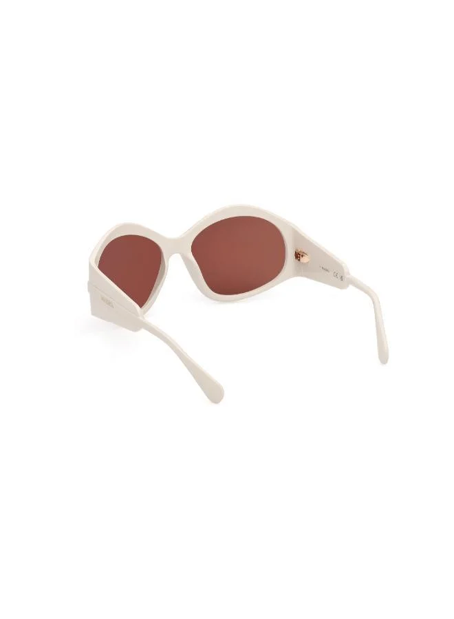 MAXCO  Injected Shaped Sunglasses for Women | Best Price UAE
