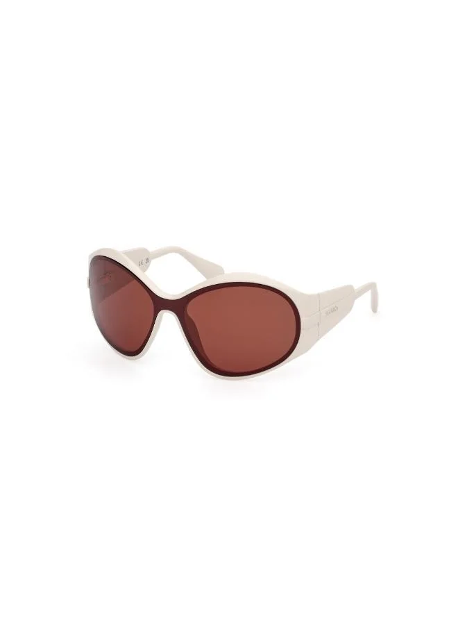 MAXCO  Injected Shaped Sunglasses for Women | Best Price UAE