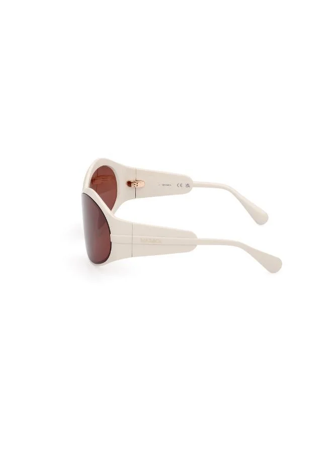 MAXCO  Injected Shaped Sunglasses for Women | Best Price UAE