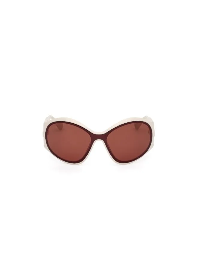 ماكس اند كو Injected Shaped Sunglasses