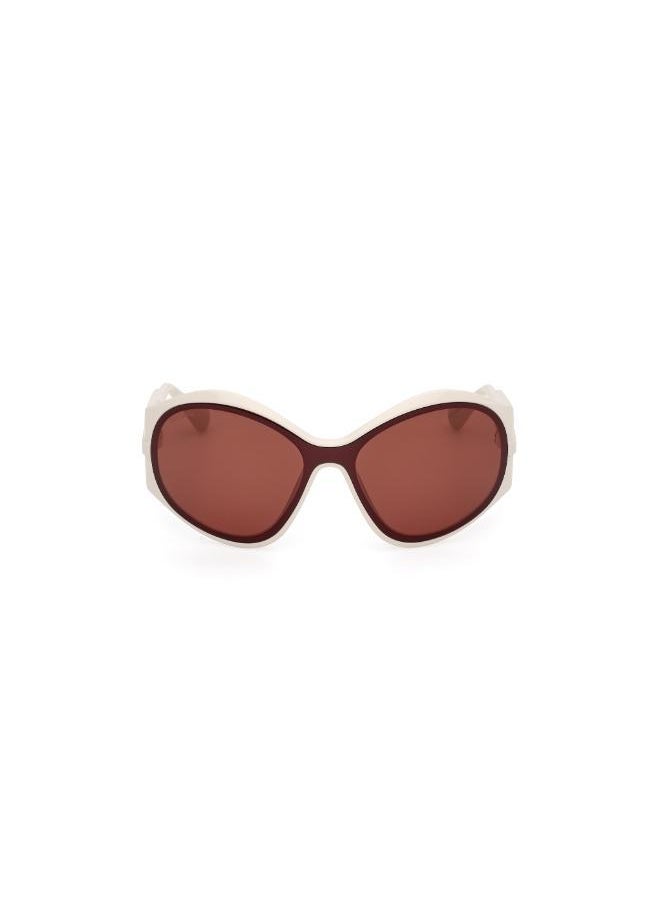MAXCO Injected Shaped Sunglasses  - Image 1