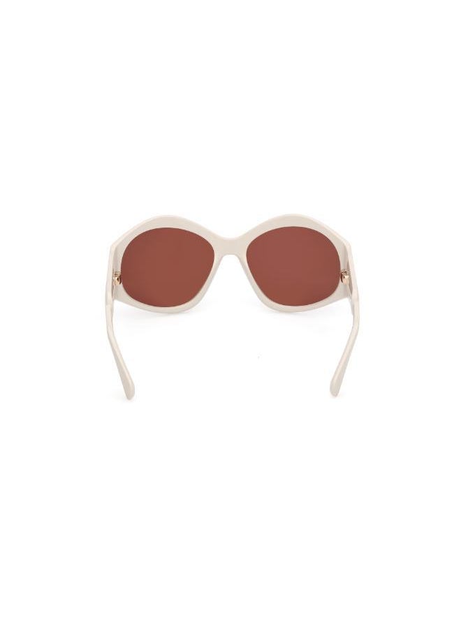 MAXCO Injected Shaped Sunglasses  - Image 2