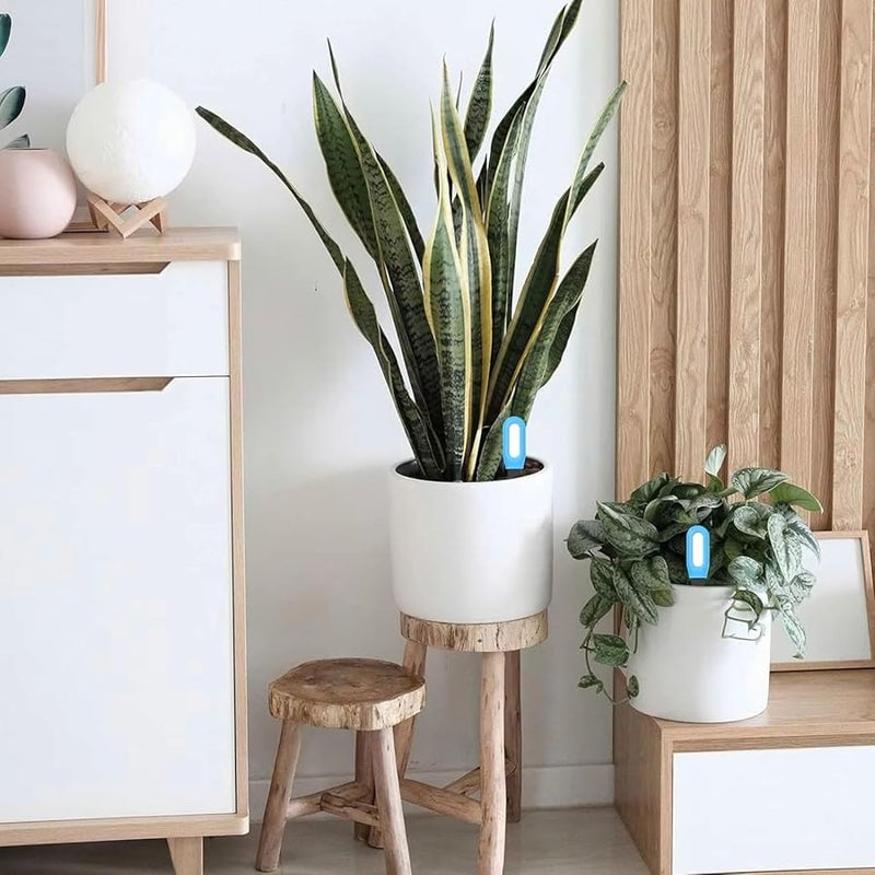 مقياس رطوبة التربة للنباتات الداخلية والخارجية بشاشة LCD - Image 5