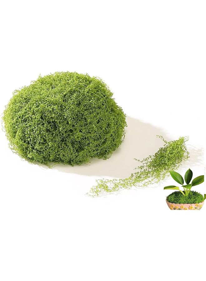 إيروريكس طحلب صناعي للنباتات المحفوظة في أوعية، 3.5 أونصة، عشب طحلب صناعي طبيعي، طحلب صناعي للنباتات الداخلية، طحلب خيطي، ديكور للحفلات، فن المناظر الطبيعية، ديكور البستنة، مشاريع اصنعها بنفسك، أخضر فاتح - Image 1