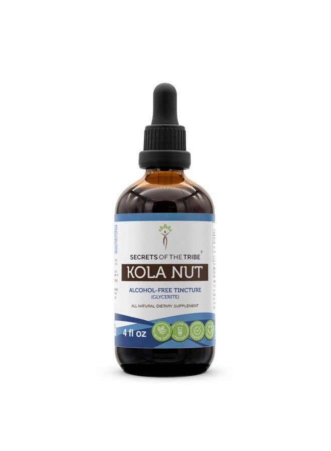Secrets of the Tribe Kola Nut Tincture Alcohol-Free Extract, Kola nut (Cola Acuminate) Dried Nut (4 FL OZ) - Image 1