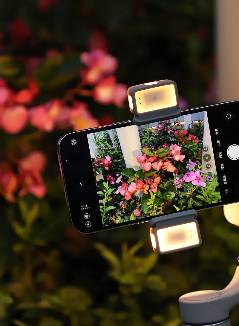 Zikra Two-Way LED Video Light with Charging Case Vlogging Lighting Accessories Compatible with DJI OM 5 / 4 / 4 SE Smartphone Gimbal Stabilizer - Image 3