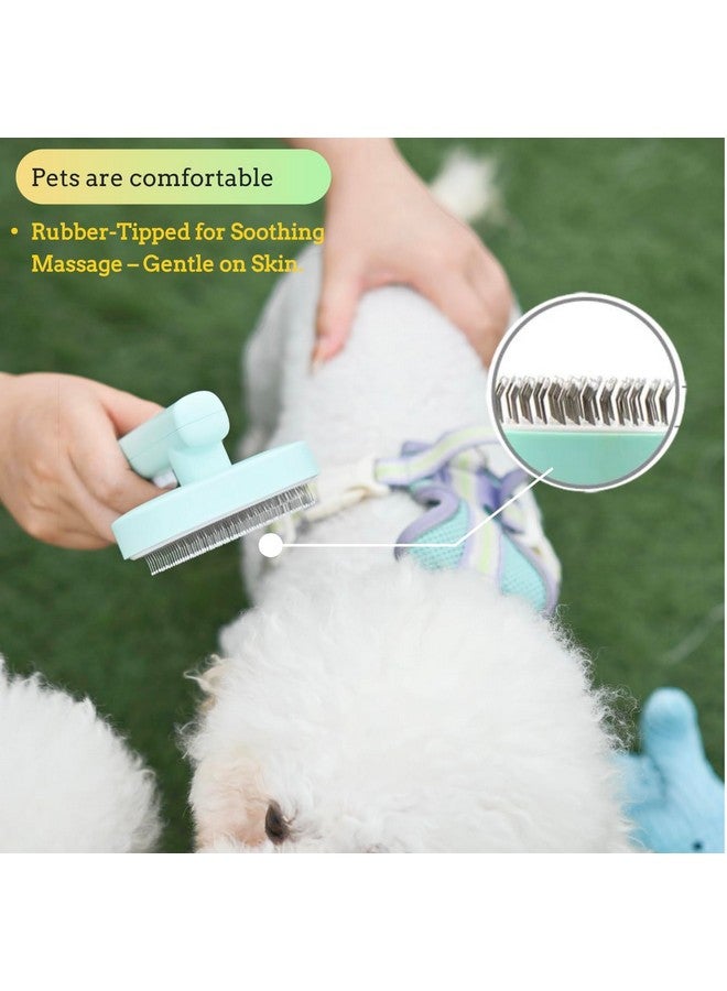 Self cleaning hair removal brush - a skin friendly beauty tool suitable for dogs, cats, and puppies, with a round head design that prevents scratches and is green in color - Image 2