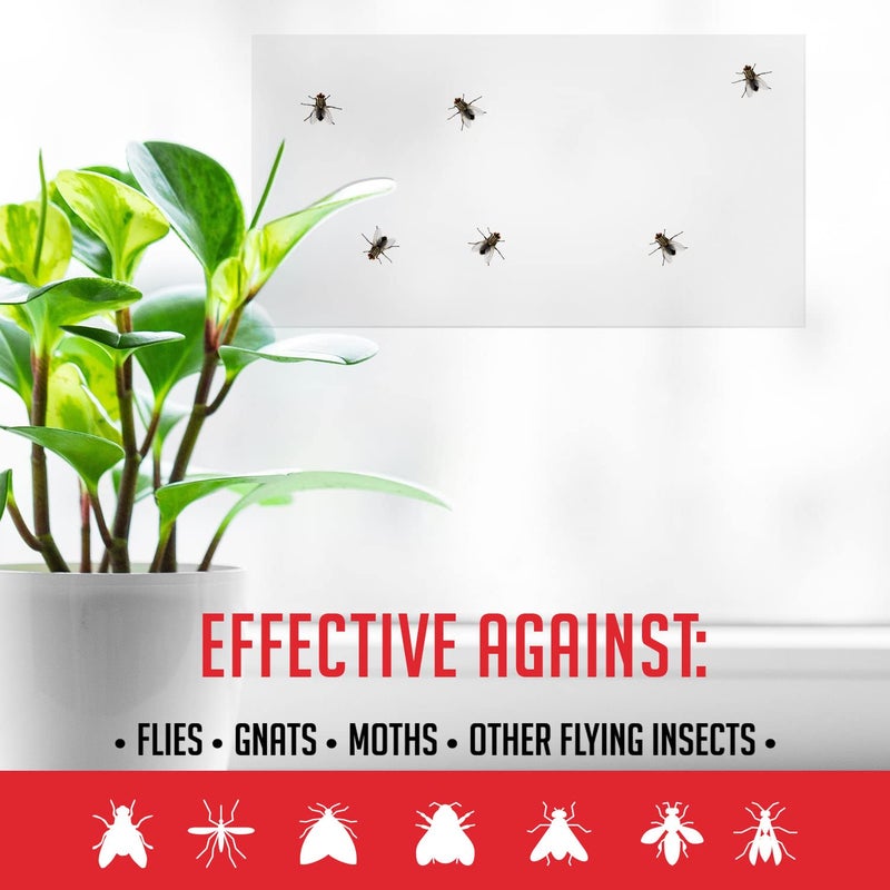 TRAP A PEST Window Fly Traps Indoor Clear (60 Pack) - Fly Window Traps for Indoors Sticky, Indoor Fly Trap Non-Toxic Fly Strips for Windows - Fly Sticky Traps Indoor Fly Paper Indoor Bug Sticky Traps (8.25" x 5") - Image 4