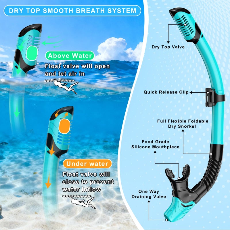 Jwintee Snorkeling Gear for Adults, Mask Fin Snorkel Set, Dry Top Snorkel Mask, Panoramic View Anti-Leak Anti-Fog 3 in 1 Snorkeling Kit Travel Diving Package with Storage Bag - Image 3