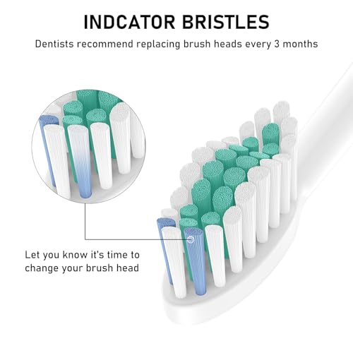 ELFIN Toothbrush Heads, 8 Pack Electric Toothbrush Replacement Heads for Philips Sonicare Soft Dupont Bristles Replacement Toothbrush Heads for Oral Care - Image 5