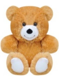 Brown Plush Teddy Bear 15 cm - pzsku/Z141EC589319D265AF82DZ/45/_/1730924065/4bf8d409-c2ab-41d1-a1d9-ab62c11f041d