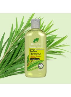dr.organic Organic Doctor Tea Tree, Shampoo, 9 Fluid Ounce  - Image 5