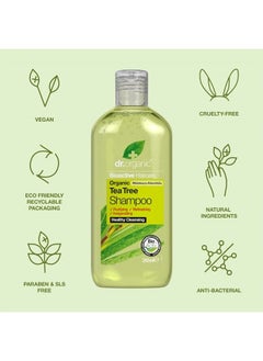 dr.organic Organic Doctor Tea Tree, Shampoo, 9 Fluid Ounce  - Image 3