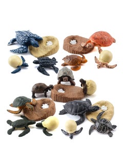 Life Cycle Figurines Tortoise Model 20PCS Realistic Sea Turtle Ocean Animal Figures Party Favors Cake Toppers Decoration Toys for Kids Toddlers