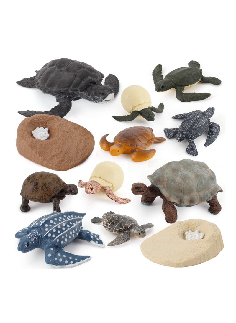 Excefore - Life Cycle Figurines Tortoise Model 20PCS Realistic Sea Turtle Ocean Animal Figures Party Favors Cake Toppers Decoration Toys for Kids Toddlers - Image 1