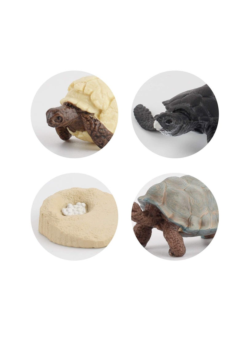 Excefore - Life Cycle Figurines Tortoise Model 20PCS Realistic Sea Turtle Ocean Animal Figures Party Favors Cake Toppers Decoration Toys for Kids Toddlers - Image 1
