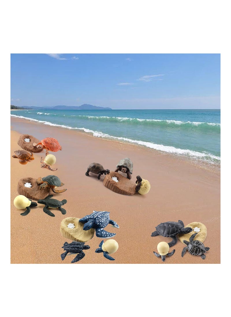 Excefore - Life Cycle Figurines Tortoise Model 20PCS Realistic Sea Turtle Ocean Animal Figures Party Favors Cake Toppers Decoration Toys for Kids Toddlers - Image 1