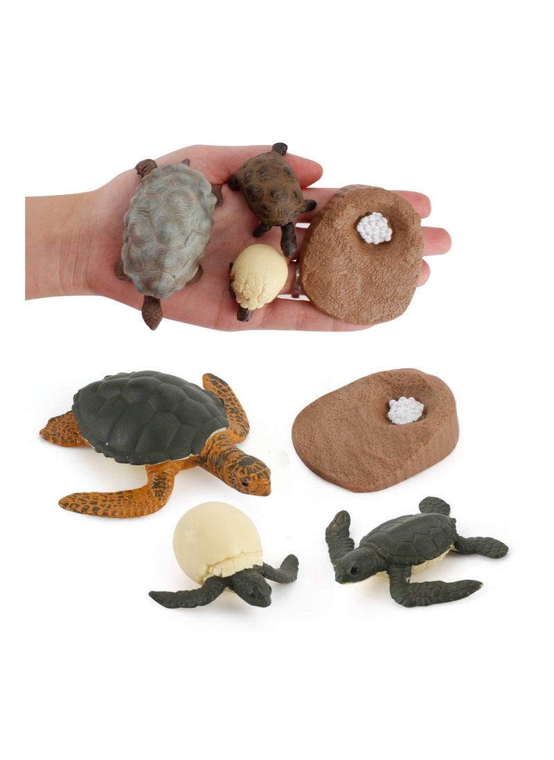 Excefore - Life Cycle Figurines Tortoise Model 20PCS Realistic Sea Turtle Ocean Animal Figures Party Favors Cake Toppers Decoration Toys for Kids Toddlers - Image 1