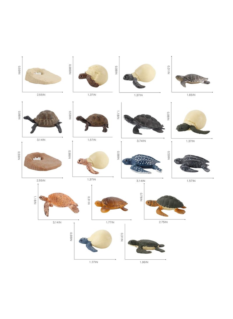 Excefore - Life Cycle Figurines Tortoise Model 20PCS Realistic Sea Turtle Ocean Animal Figures Party Favors Cake Toppers Decoration Toys for Kids Toddlers - Image 1