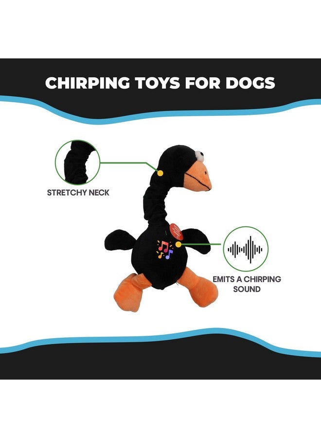 SPOT Chirpies Plush Dog Toy - Plush Dog Toy Makes Bird Sounds, Singing Cuddle Toy for Small and Large Dogs, Stretchy Bungee Neck, Recycled Stuffing - 14in, Assorted Bird Characters/Colors - Image 2