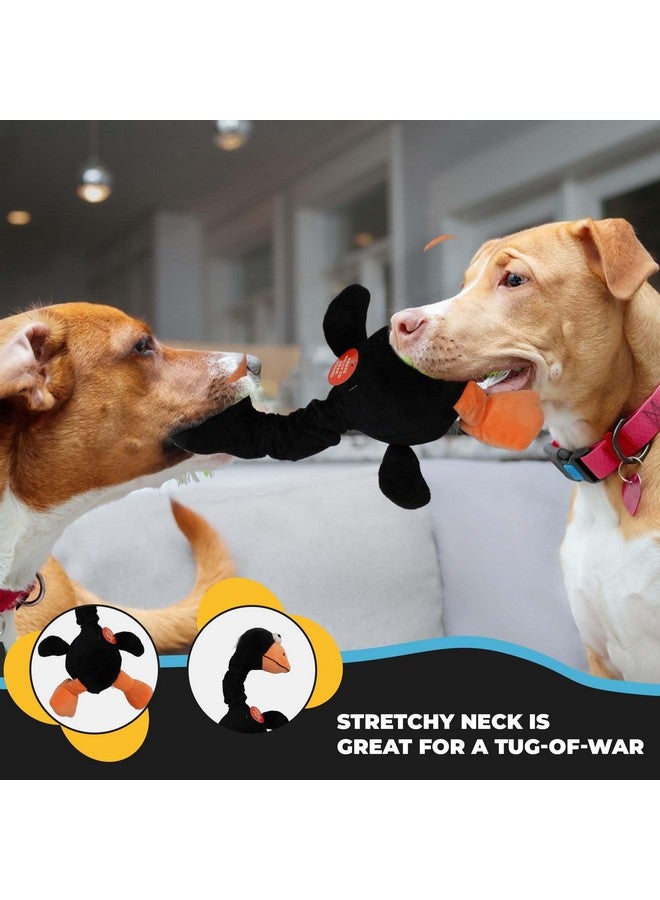 SPOT Chirpies Plush Dog Toy - Plush Dog Toy Makes Bird Sounds, Singing Cuddle Toy for Small and Large Dogs, Stretchy Bungee Neck, Recycled Stuffing - 14in, Assorted Bird Characters/Colors - Image 4