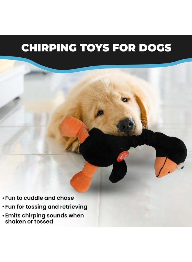 SPOT Chirpies Plush Dog Toy - Plush Dog Toy Makes Bird Sounds, Singing Cuddle Toy for Small and Large Dogs, Stretchy Bungee Neck, Recycled Stuffing - 14in, Assorted Bird Characters/Colors - Image 3