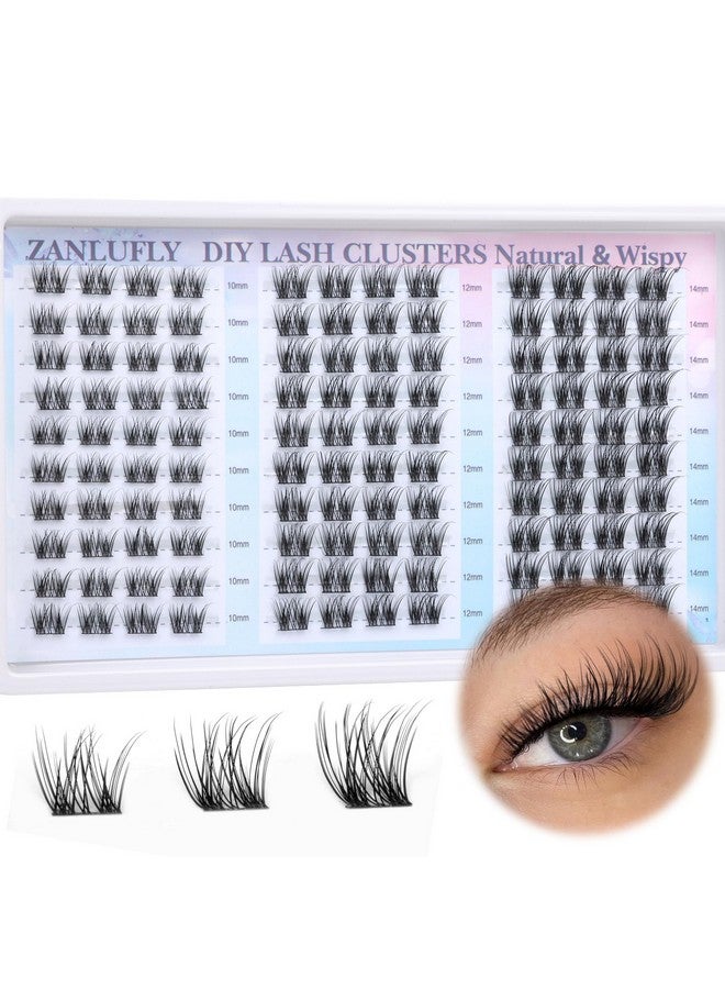 zanlufly Sters Natural Eyelash Clusters D Curl Cluster Lashes Zanlufly Wispy Individual Lashes Cluster Eyelash Extension 10 12 14Mm Diy Lash Extension - Image 1