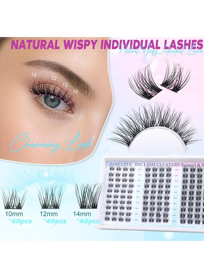 zanlufly Sters Natural Eyelash Clusters D Curl Cluster Lashes Zanlufly Wispy Individual Lashes Cluster Eyelash Extension 10 12 14Mm Diy Lash Extension - Image 2