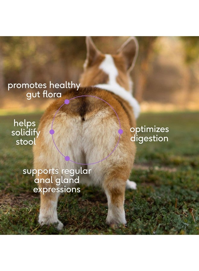 Native Pet WonderGland - Dog Anal Gland Treatment Using Fiber for Dogs - Prevent Scooting for Dogs Anal Gland Supplement Including Dog Gut Health Probiotics for Anal Gland Support - 30 Scoops - Image 3