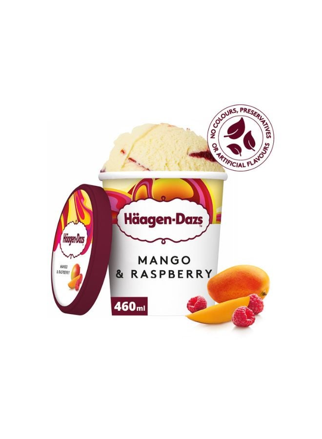 Mango And Raspberry Ice Cream Buy Haagen Dazs Mango & Raspberry Ice Cream Tub Online | 15 Minutes ...