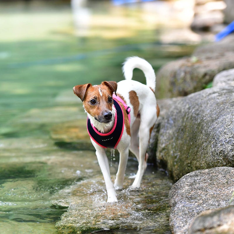 Puppia Soft Harness II - Navy - M - Image 4