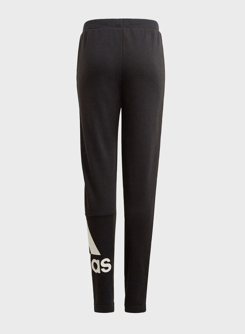Adidas Kids Big Logo Sweatpants