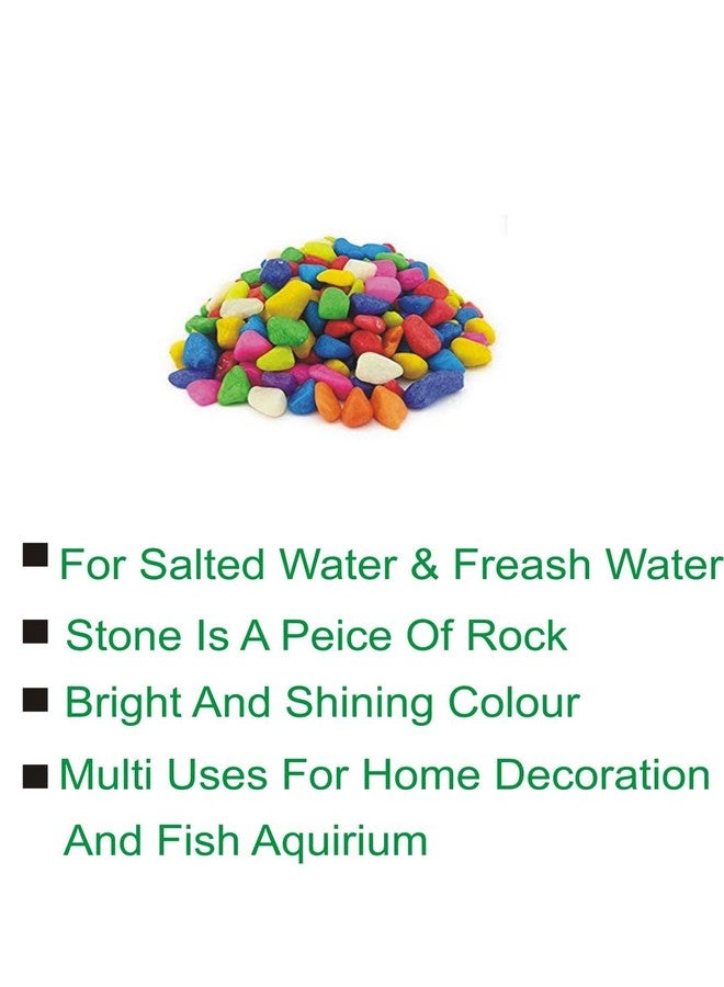 AFAST Multicolor Pebbles/Stones for Garden, Plants, Lawns, Aquariums, Fish Pots, Home Decor, Vases, Furniture Filler. Size: 10-30mm, Shiny Multicolor -A33 - Image 3