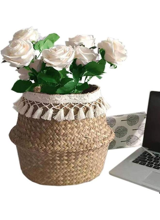 Woven Seagrass Plant Basket,Hand Woven Belly Basket Wicker Belly Basket Planter Indoor for Storage Basket Laundry Picnic Plant Pot - pzsku/Z14259C43C4FF992B6F42Z/45/_/1740555894/63933a96-f09e-44c0-8dfa-f7ebe3267d64