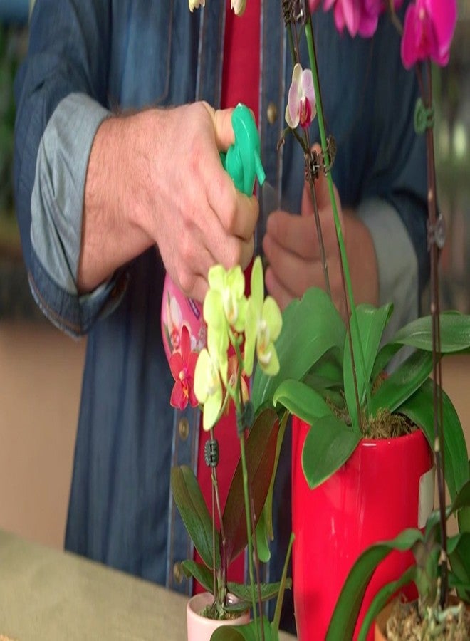 Miracle-Gro Orchid Plant Food Mist Rtu3 - Image 2