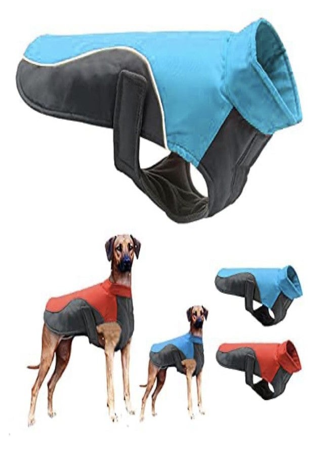 A+A Pets' Free & Wild Dog Jacket for Dogs & Cats | Reflective, Waterproof, Windproof Dog Raincoat | Easy to Wear, No Slip Design | High Visibility Lightweight Rainwear(Blue XL) - Image 1