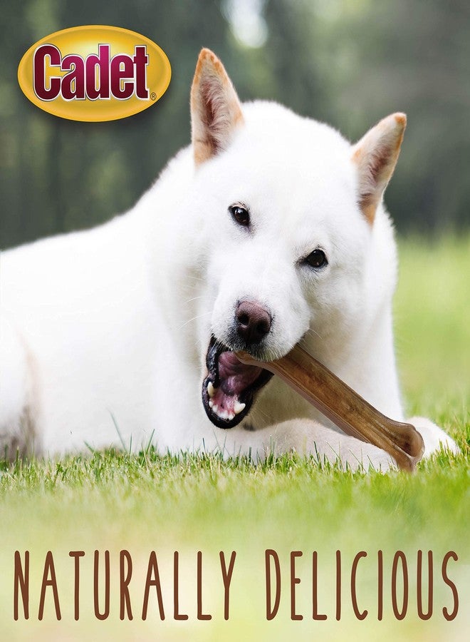Cadet Premium Grade Pressed Beef Hide Bones 10 Inch, 1 Pack - Image 5