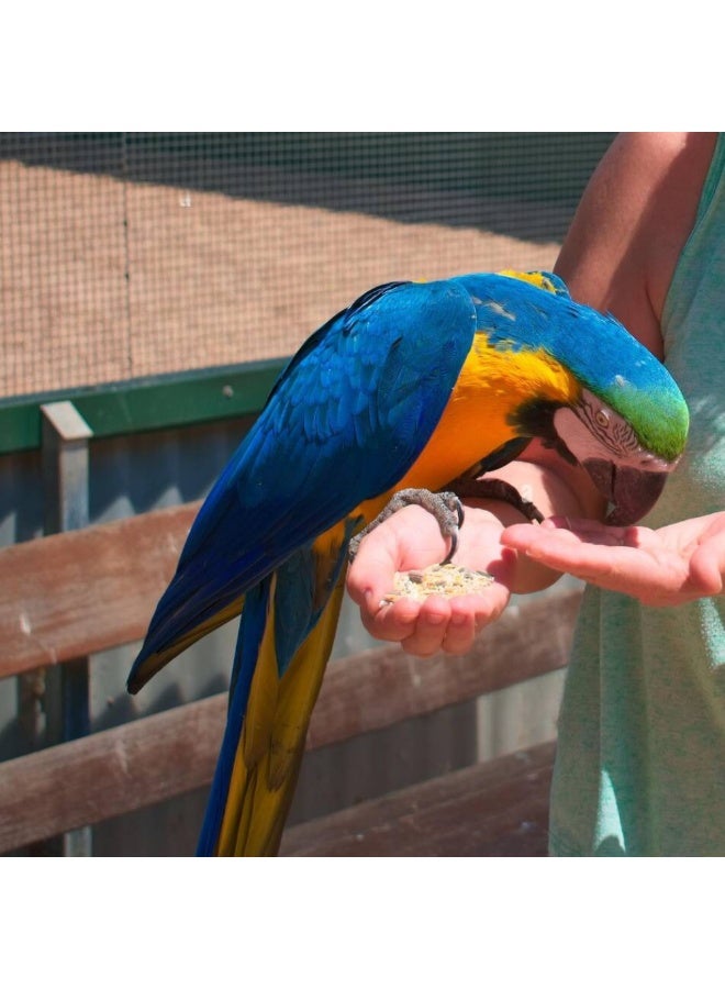 Volo Seedy Parrot Mix 420g - Image 2