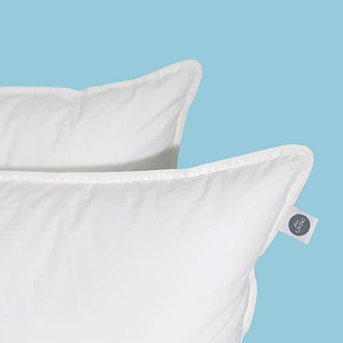bien LIVING Extra Soft Down Alternative Pillow, 233 TC 100% Cotton Fabric with Down Proof Finish, Sleeping Pillow, 17 X 27 Inch, White (Pillow Set of 2) - Image 3
