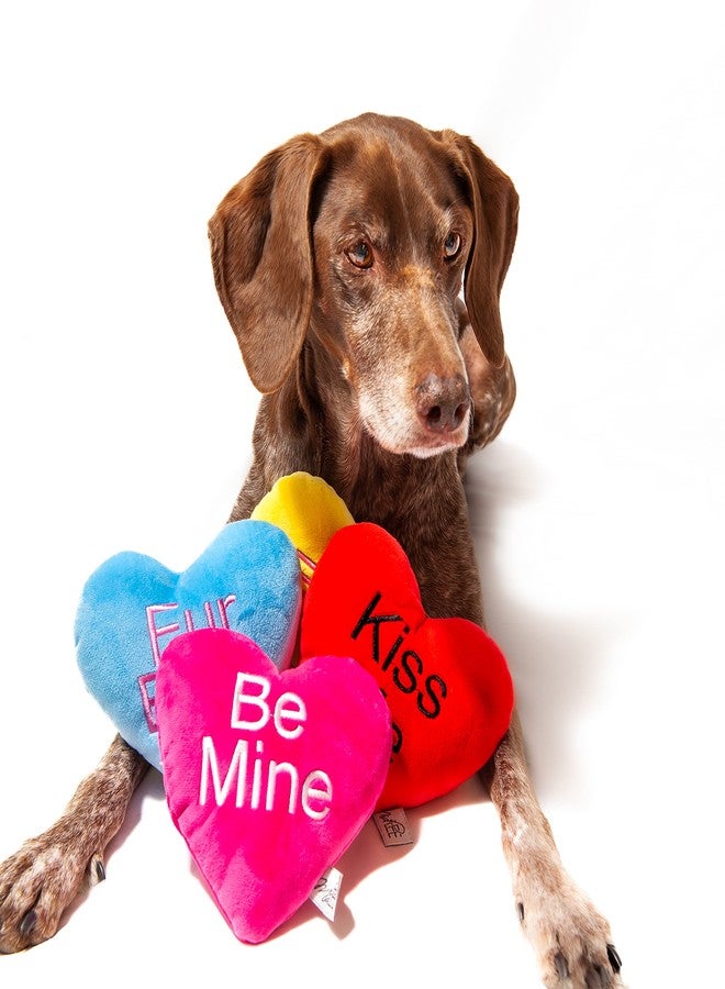 Midlee Candy Heart Valentine's Dog Toy- Set of 4- Large- Conversation Plush Squeaky Present - Image 2