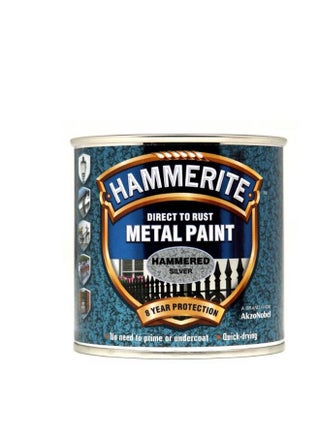 Direct to Rust Metal Paint - Hammered Silver Finish 250ML - pzsku/Z142C6A48F86BDCB1C26DZ/45/_/1682410202/f520bf57-1ce6-4dc4-b408-b0f084e636bc