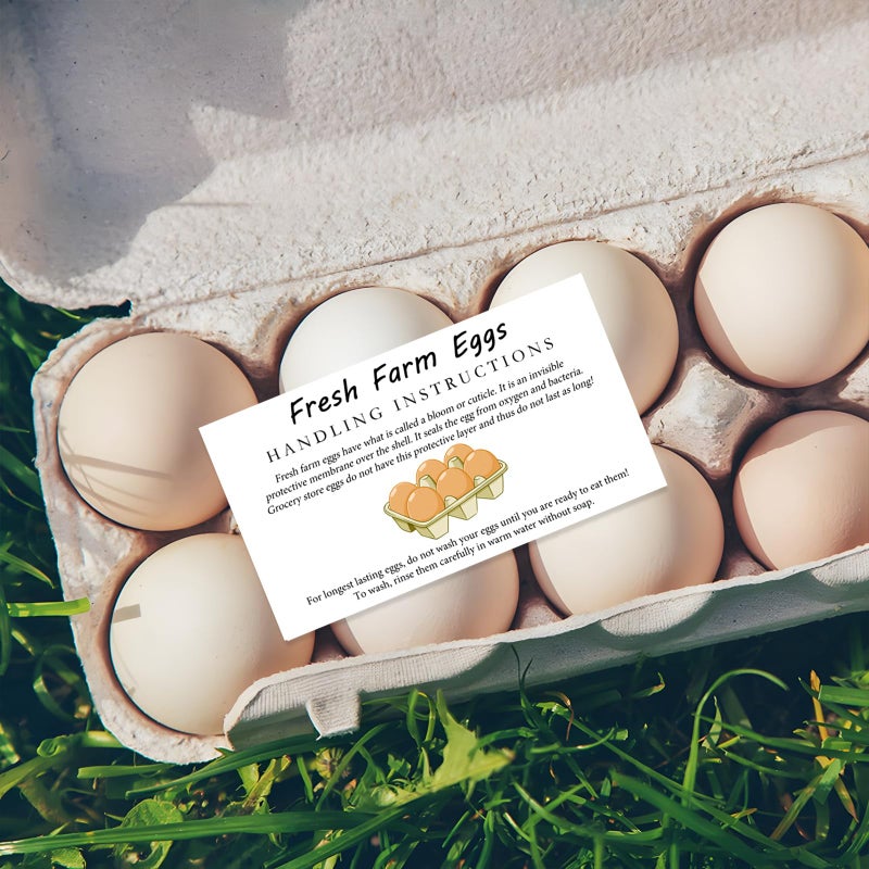 SCORYULE 300 PCS Fresh Farm Eggs Handling Instructions Cards, 2x3.5" Cards for Carton, Basket, Farm, Supermarket - Image 4