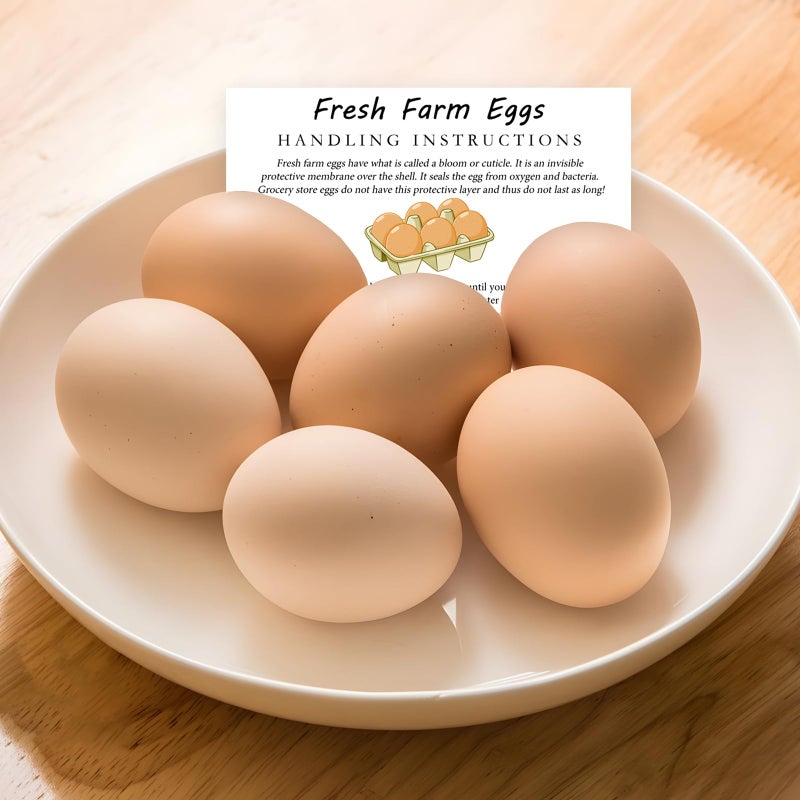 SCORYULE 300 PCS Fresh Farm Eggs Handling Instructions Cards, 2x3.5" Cards for Carton, Basket, Farm, Supermarket - Image 5
