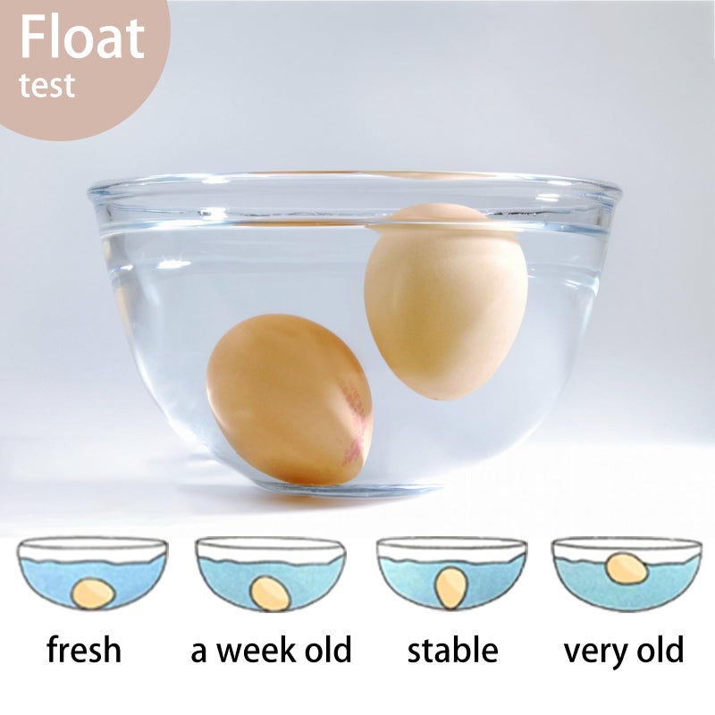 SCORYULE 300 PCS Fresh Farm Eggs Handling Instructions Cards, 2x3.5" Cards for Carton, Basket, Farm, Supermarket - Image 3