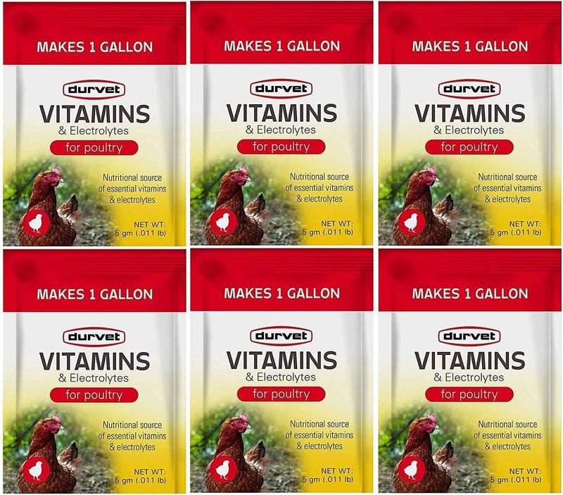 Durvet 6 Pack of Vitamins and Electrolytes for Poultry, 5 Grams, Makes 6 Gallons