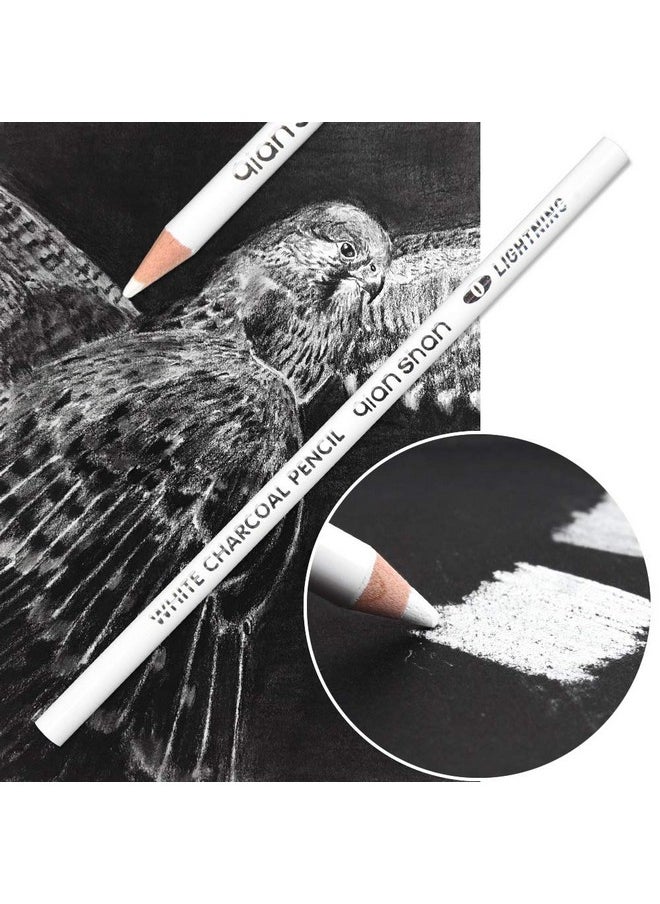 Qianshan 2 Pcs White Sketch Charcoal Pencils Professional Hight Quality Sketch Highlight White Charcoal Wooden Pencils For Artist Drawing Sketching Blending  - Image 4