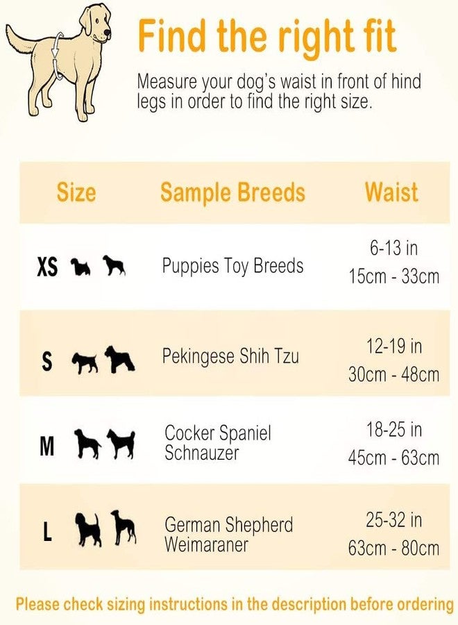 Dono Disposable Dog Diapers- 16pcs, Dog Wraps for Male Dogs with Wetness Indicator, Super Absorbent Doggy Diapers for Small Dogs - Image 5