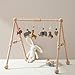 Etucdose Wooden Baby Gym with 6 Gym Toys Detachable Wooden Play Gym Frame Activity Gym Hanging Bar Baby Toys for Activity Gym Ages Newborn Zoo Themes - Image 3