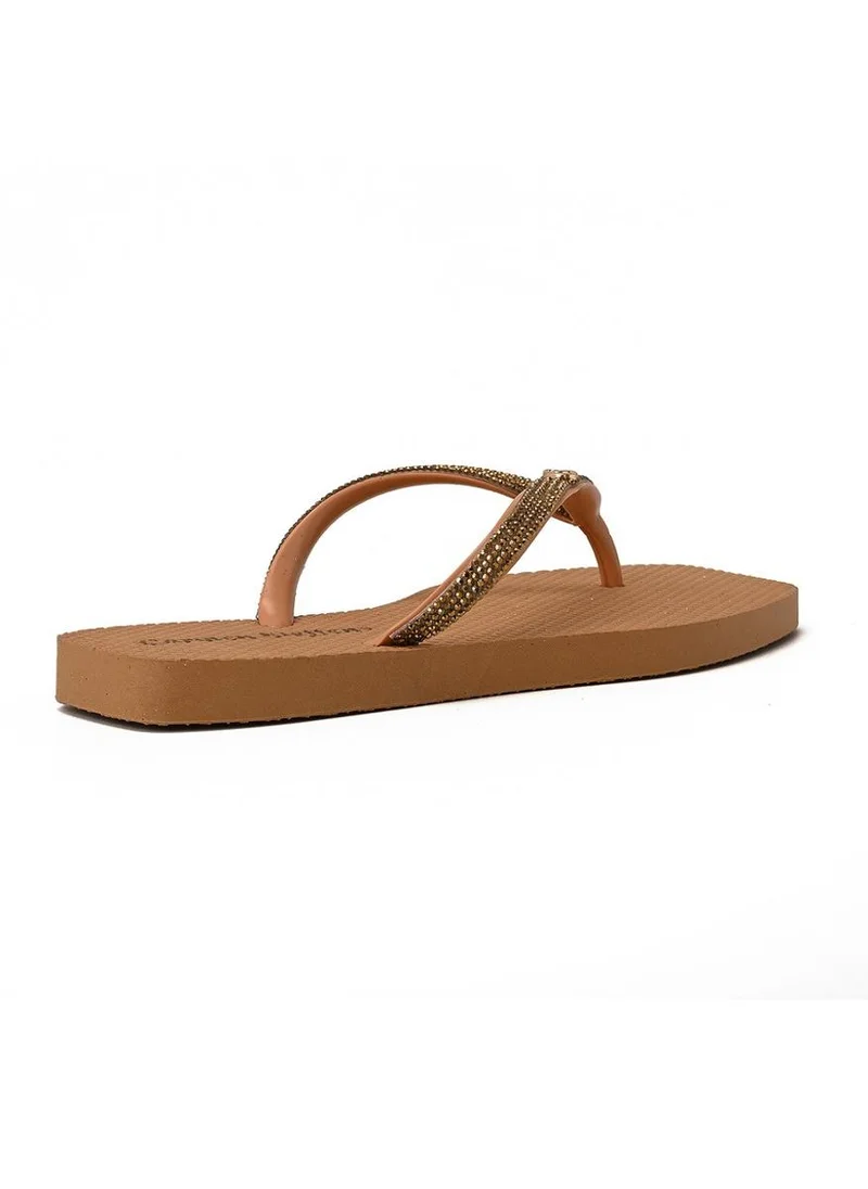 Carmen Steffens  Flip-Flops Shine Tan for Women | Best Price UAE