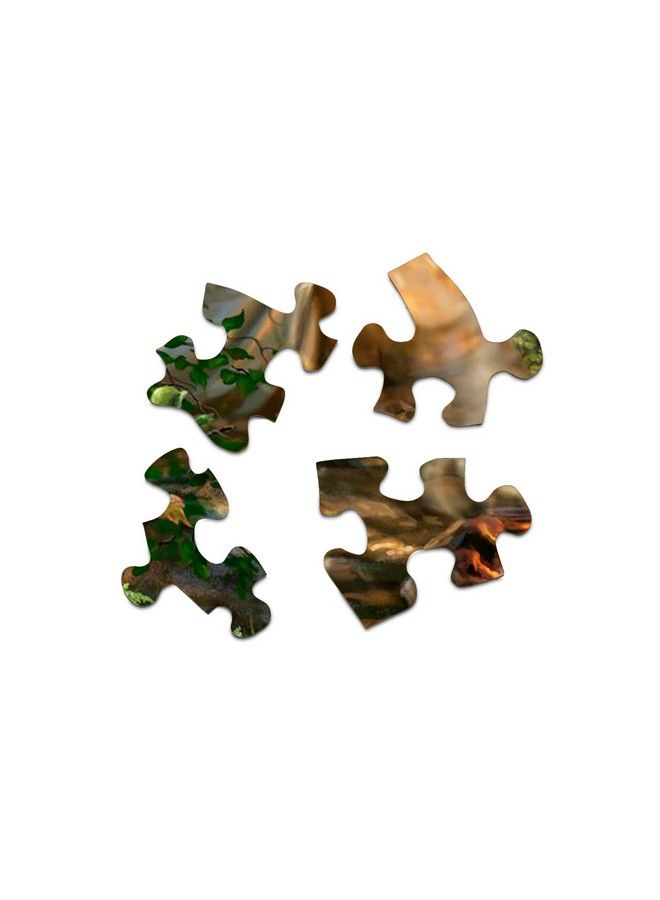 Springbok س 500 قطعة لغز صورة مساء عند البحيرة صنع في الولايات المتحدة - Image 4